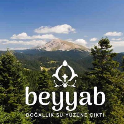 Ilgaz Beyyab Su Fabrikası 